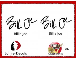 Guitar Players Billie Joe Signature Guitar Decal 217